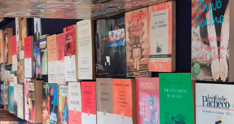 Celebrando a los libros en Borregos