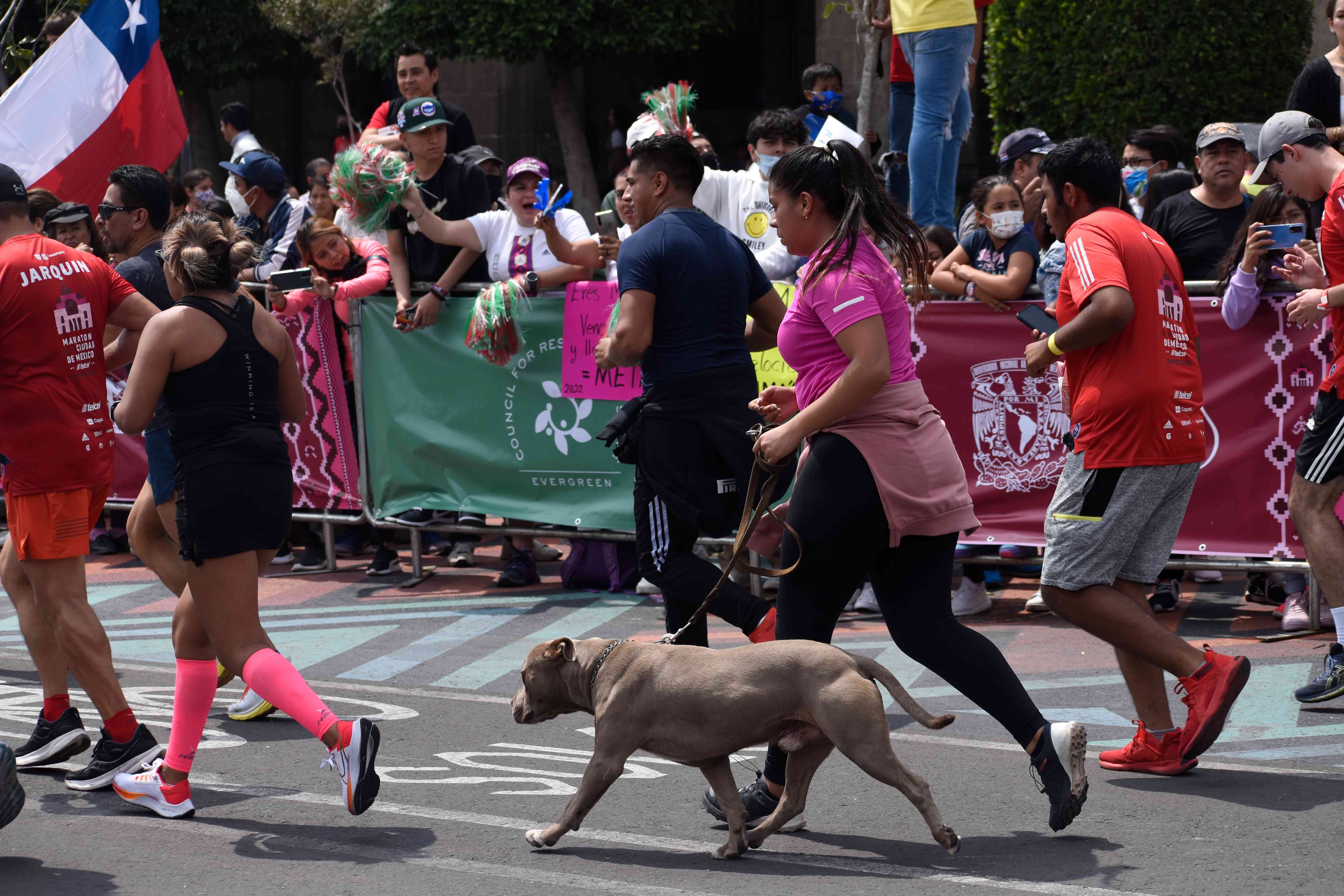 Maratón de la Ciudad de México 2022 / Foto: Frecuencia CEM