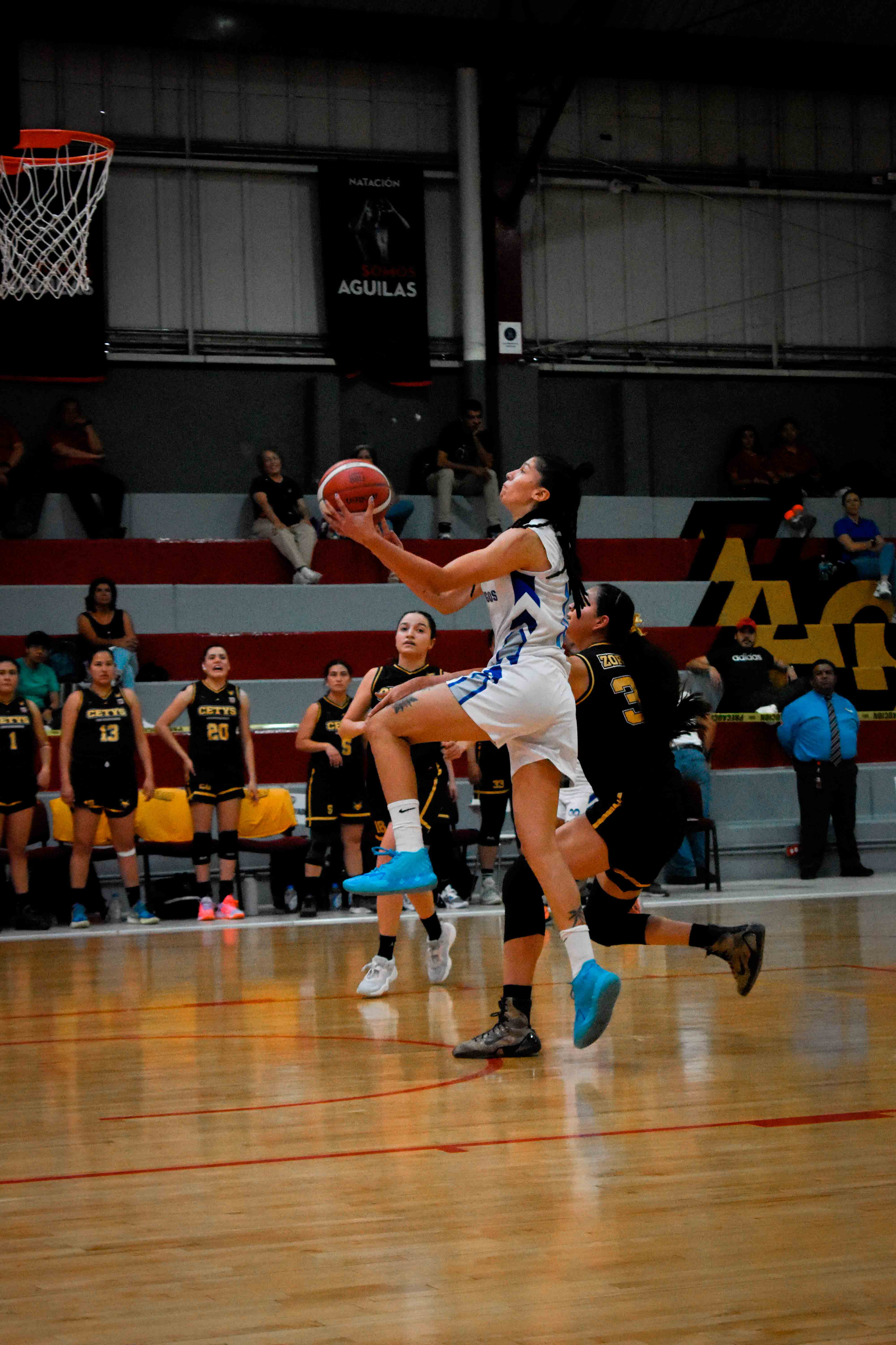 Tec CEM vs. CETYS Tijuana / Foto: Alfredo Guzmán