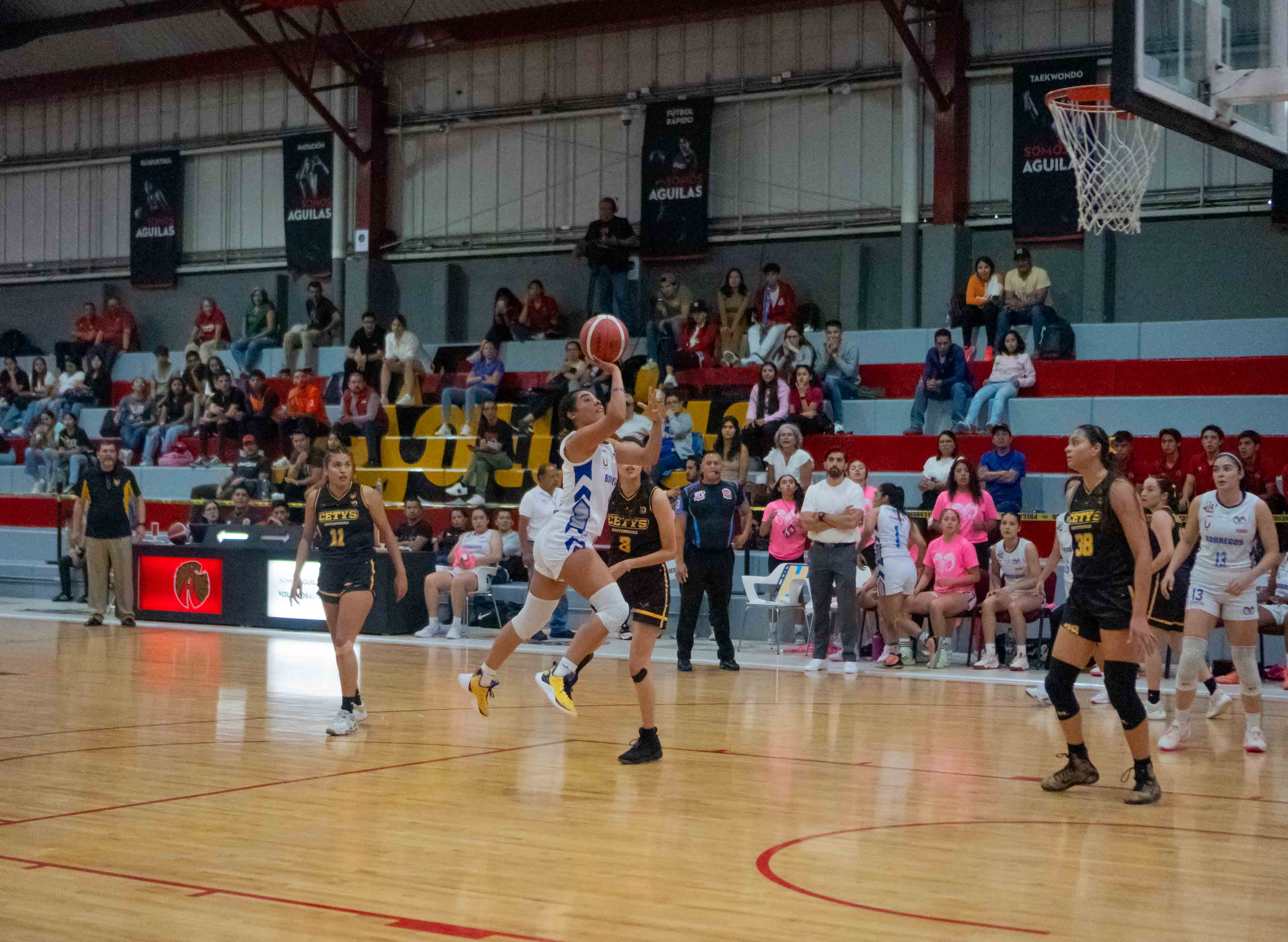 Tec CEM vs. CETYS Tijuana / Foto: Kevin García